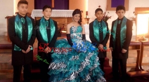 Cheap Ruffled Layers and Zebra Teal Quinceanera Package in Tulle and Sequins