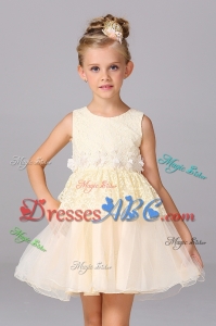Princess Scoop Lace Short Champagne Flower Girl Dress for Wedding