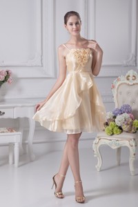 Spaghetti Straps Organza Party Dresswith Handle Flowers