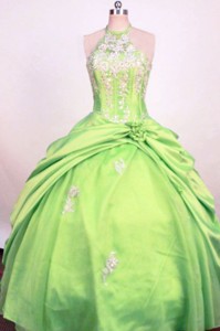 Fashionable Spring Green Ball Gown Little Girl Pageant Dress Halter Hand Made Flower Taffeta 