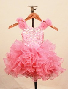 Elegant Ruffles Baby Pink Little Girl Pageant Dress With Hand Made Flowers Scoop Neck 