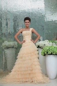 Elegant Princess One Shoulder Brush Train Champagne Appliques And Ruching Chiffon Pageant Dress