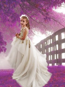 See Through Scoop Long Sleeves Applique Flower Girl Dress with Court Train 