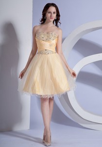 Beading Decorate Bodice Light Yellow Taffeta And Organza Prom Dress