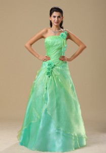 Apple Green Hand Made Folwers And Ruched Bodice In Springfield Illinois Dama Dress For Quinceanera