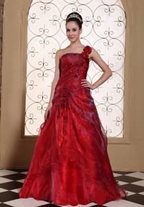 Wine Red One Shoulder Sweet 16 Dress Gown Hand Made Flowers In Organza