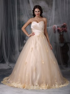 Beautiful Princess Sweetheart Brush Train Tulle Embroidery Wedding Dress