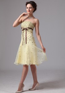 Light Yellow Sash Knee-length Prom Dress For Prom Party In Alpharetta Georgia