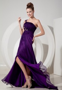 Exquisite Evening Dress Eggplant Purple Empire One Shoulder Chiffon Appliques Brush Train
