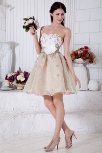Colorful Sweetheart Mini-length Organza Appliques Prom Homecoming Dress