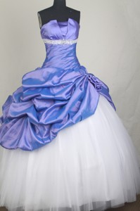 Classical Ball Gown Strapless Strapless Floor-length Quinceanera Dress