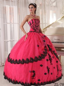 Ball Gown Strapless Floor-length Appliques Quinceanera Dress