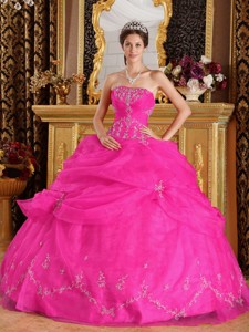 Hot Pink Ball Gown Strapless Floor-length Organza Appliques Quinceanera Dress 