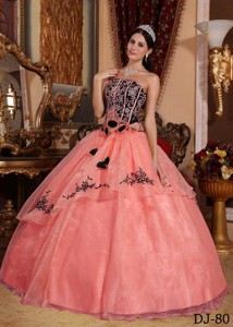 Watermelon and Black Strapless Floor-length Organza Embroidery Quinceanera Dress 