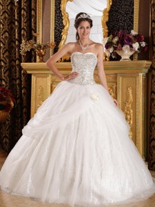 Popular Ball Gown Sweetheart Floor-length Organza and Sequined Quinceanera Dress 