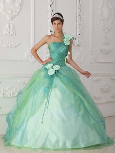 Apple Green Ball Gown One Shoulder Floor-length Organza Beading and Hand Flower Quinceanera Dress 
