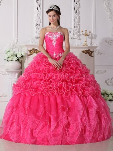 Hot Pink Ball Gown Strapless Floor-length Organza Embroidery with Beading Quinceanera Dress 