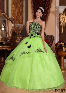 Yellow Green and Black Ball Gown Strapless Embroidery Quinceanera Dress