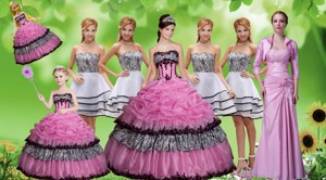 Luxurious Applique Zebra Rose Pink Quinceanera Dress And Strapless White Dama Dress And Pick Ups M