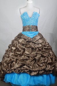 Exquisite Ball Gown V-neck Brush Quincenera Dress