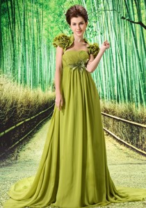Custom Made Olive Green El Chaparro Prom Dress Hand Made Flower And Ruch In Graduation