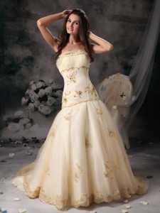 Customize Princess Wedding Dress Strapless Organza Embroidery Brush Train