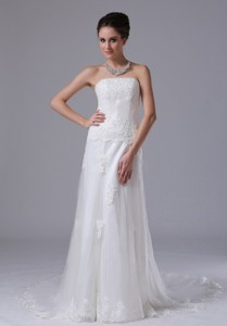 Strapless Lace Column Tulle Court Train Romantic Wedding Dress In Ames Iowa