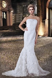 Fashionable Mermaid Strapless Lace Wedding Dress with Court Train 