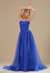Brookhaven Blue Organza Strapless Brush Train Column Simple Style Plus Size Prom Evening Dres