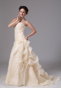 Champagne Embroidery Wedding Dress With Chapel Train Organza