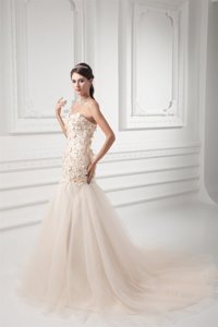 Champagne Sweetheart Court Train Wedding Dress With Appliques