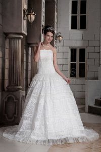 Customize Strapless Brush Train Special Fabric Beading Wedding Dress