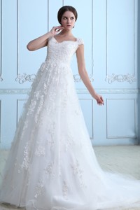 Vintage V-neck Court Train Tulle Lace Wedding Dress