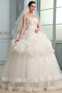 Strapless Ball Gown Appliques and Pick-ups Long Wedding Dress 