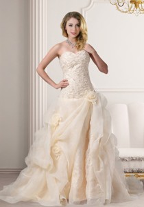 A Line Embroidery Sweetheart Brush Train Wedding Dress in Champagne 
