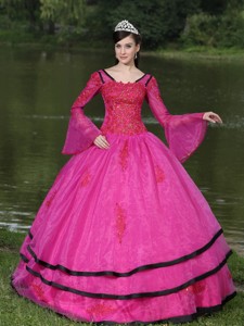 The Most Popular Long Sleeves Appliques Decorate Fushsia Quinceanera Dress With V-neck
