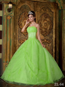 Spring Green Ball Gown Strapless Floor-length Appliques Organza Quinceanera Dress