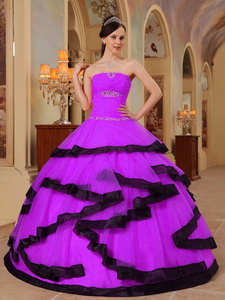 Purple and Black Strapless Floor-length Organza Appliques Quinceanera Dress