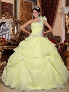 Light Yellow Ball Gown One Shoulder Floor-length Organza Appliques Quinceanera Dress