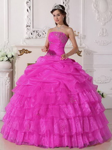Pink Ball Gown Strapless Floor-length Organza Appliques Quinceanera Dress