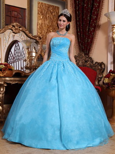 Aqua Blue Ball Gown Strapless Floor-length Organza Appliques Quinceanera Dress