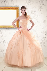 Pretty One Shoulder Appliques Quinceanera Dress In Peach