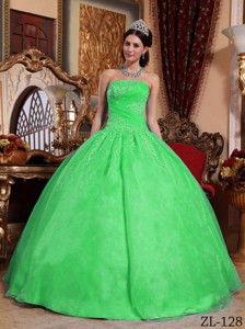 Green Ball Gown Strapless Floor-length Organza Appliques Quinceanera Dress
