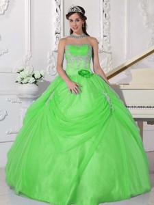 Spring Green Ball Gown Strapless Floor-length Taffeta and Organza Appliques and Hand Made Flower Qui