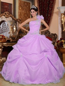 Lavender Ball Gown One Shoulder Floor-length Organza Appliques Quinceanera Dress