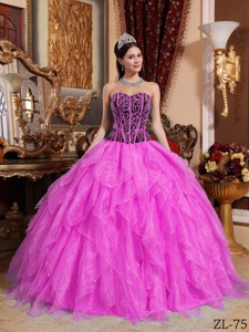 Sweetheart Embroidery with Beading Quinceanera Dress in Hot Pink and Black
