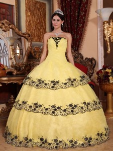 Yellow Ball Gown Strapless Floor-length Organza Lace Appliques Quinceanera Dress