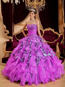Fuchsia Ball Gown Sweetheart Floor-length Beading Leopard and Organza Quinceanera Dress