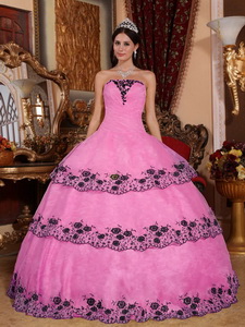 Pink Ball Gown Strapless Floor-length Organza Lace Appliques Quinceanera Dress