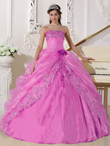 Ball Gown Strapless Floor-length Organza Embroidery with Beading Quinceanera Dress